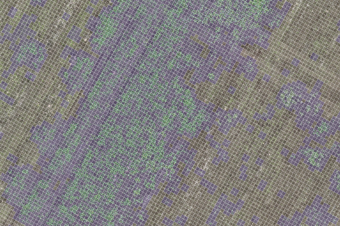 96.5% Less crop protection needed thanks to DJI Mavic 3M task map