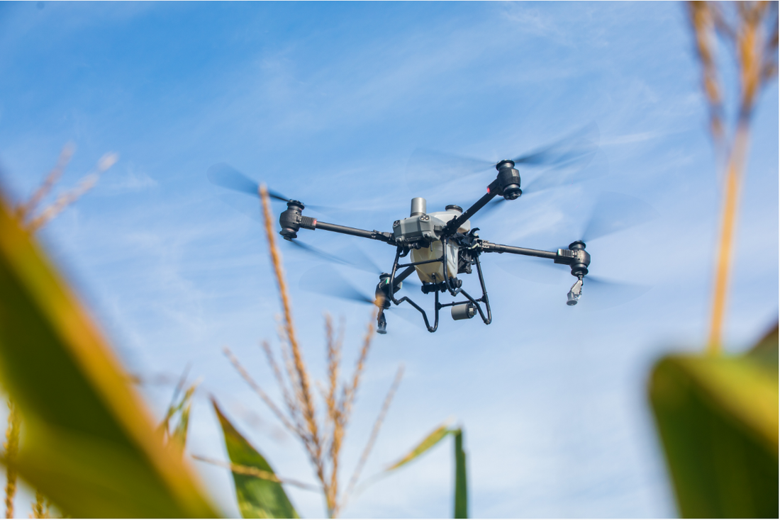 Underseeding in Corn: Fast, Precise, and Sustainable with DJI Drones